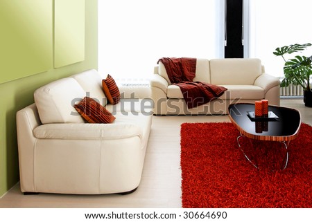 Modern living room with two leather sofas