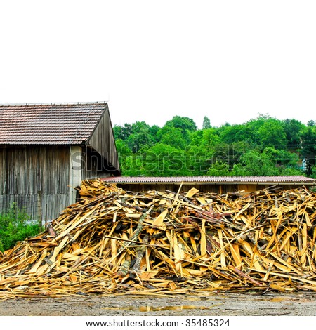 Big pile of timber wood in front of factory