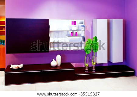 Shelf in living room with purple walls