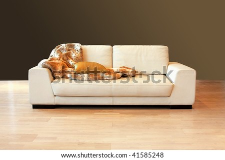 White leather sofa with pillow and blanket