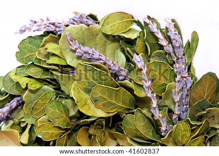 Big fresh wreath with lavender and laurel leaves