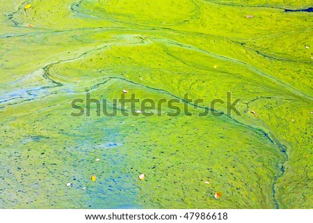 Close up shot of green environment pollution