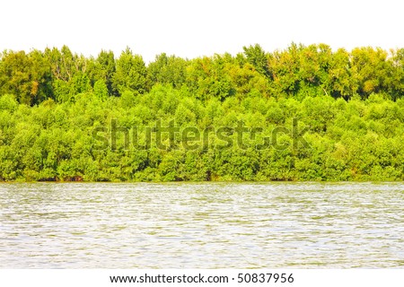 River coast with natural plant vegetation surroundings