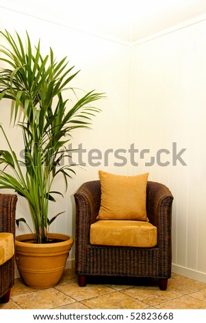 Exotic rattan furniture with big house plant