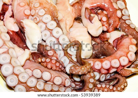 Fresh sea food detail of octopus suction caps