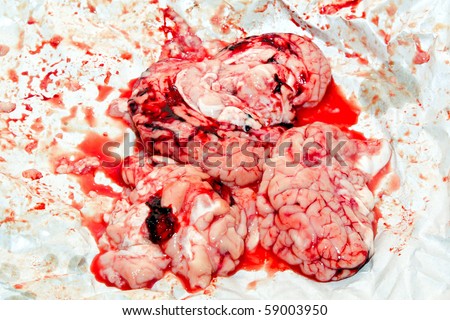 Red bloody stains around fresh animal brain