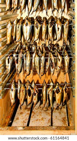 Preparation and production of smoked herring fish