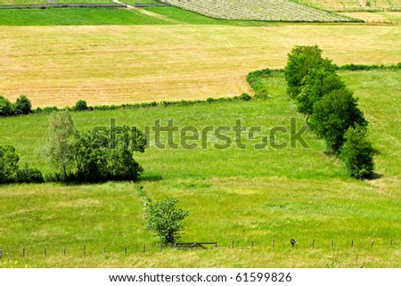 Meadows and grass at rural hill side