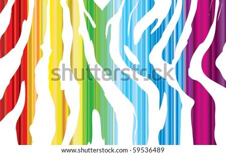 colorful zebra backgrounds