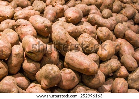 Raw dirty potatoes in market. Potatoes as background