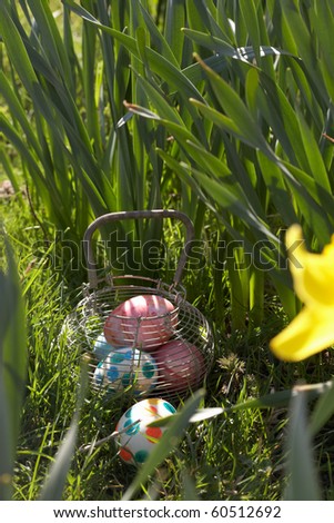 Easter Eggs Hidden In Daffodils For Egg Hunt