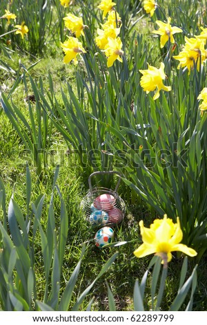 Easter Eggs Hidden For Hunt In Daffodil Field