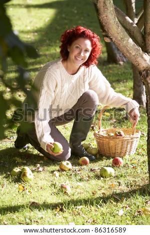 Woman collecting apples off the ground