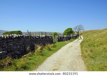 Trail along drywall fence with distant trees, Yorkshire Dales, England, UK.