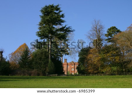 Tree line giving shape to the sky line in the grounds of an English stately home
