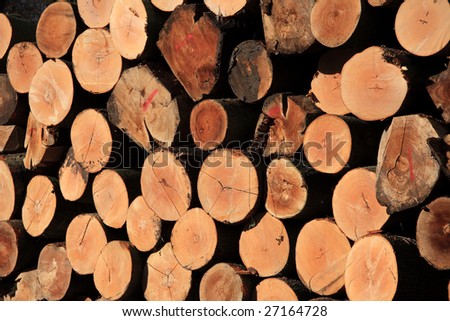 Log pile in close crop