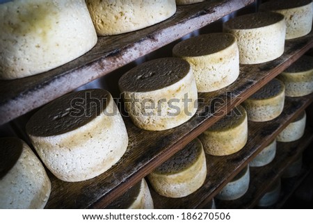 Cabrales cheese maker, at Sotres, Asturias, Spain