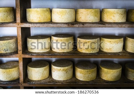 Cabrales cheese maker, at Sotres, Asturias, Spain