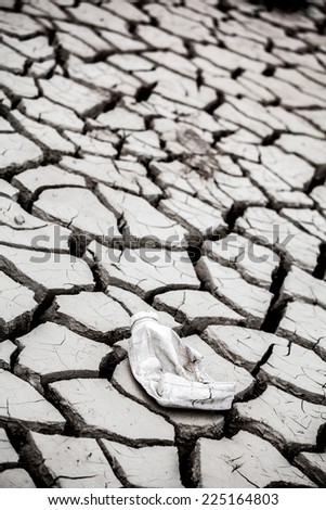 Dry land texture in desert