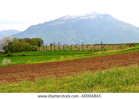 green background with flowers and vegetable crops in the province of Trento