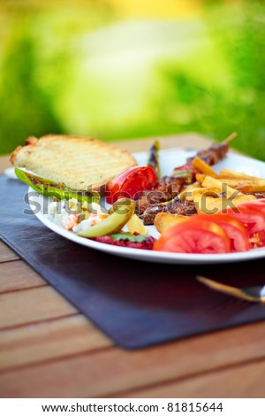A beatiful Turkish shish kebab plate with nature scene in the background.