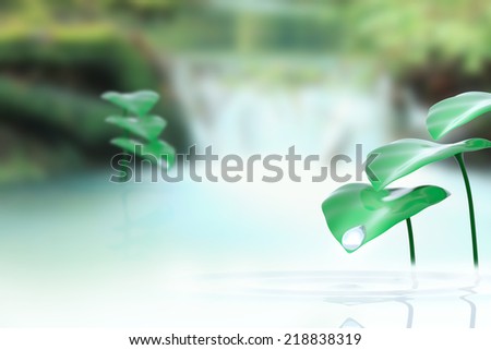 Plants in water with a natural green background