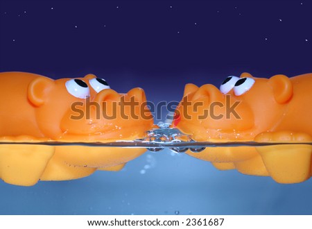 couple of orange toy hippos on a valentine\'s date swimming and watching the stars