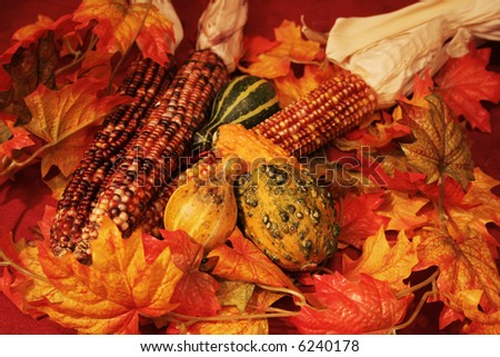 Autumn decorations of various gourds vegetables and leaves for halloween or thanksgiving