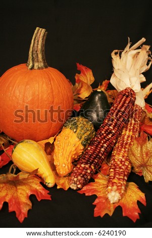 Autumn decorations of various gourds vegetables and leaves for halloween or thanksgiving