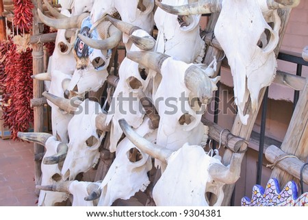 Cattle skulls on rack in Santa Fe