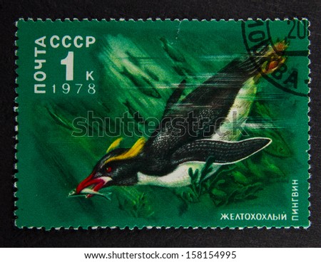 RUSSIA - CIRCA 1978: A stamp printed in Russia, shows Crested penguin in Antarctic Fauna Series, circa 1978.