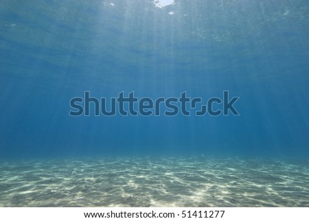 Sunrays reflecting on the sandy bottom of a shallow bay. Sharm el Sheikh, Red Sea, Egypt.