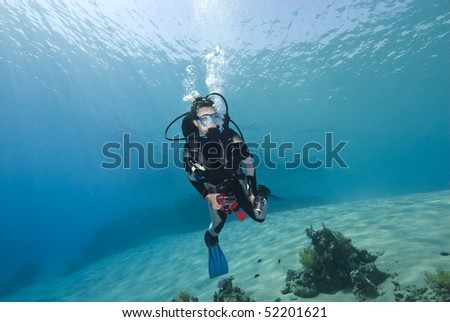 Young female diver in clear blue water in a shallow bay. Sharm el Sheikh, Red Sea, Egypt.