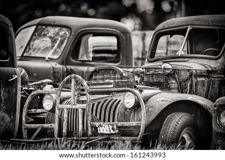 Old derelict trucks in a junkyard