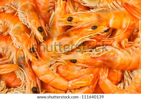 shrimps heap full frame closeup