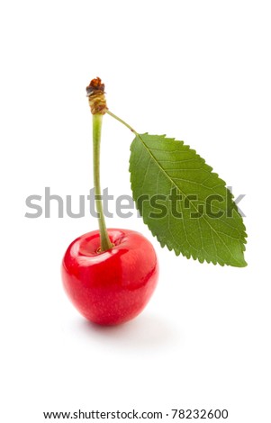 single cherry with a leaf