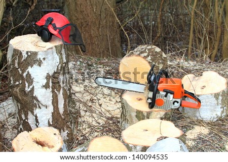 Chainsaw safety equipment and cutting tree in forest