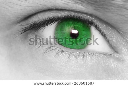 Green eye. Macro shot.