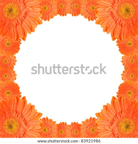 orange daisy-gerbera flowers create a circular frame on white background