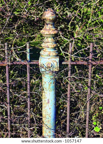 iron fence post in a bush