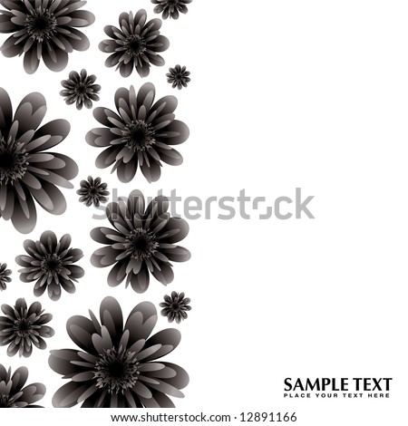 black and white flowers border. lack and white vector flowers