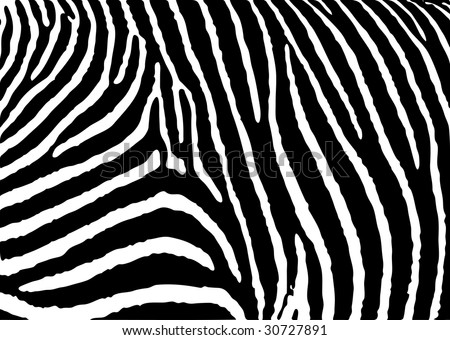 stock vector Black and white zebra pattern background with simple design