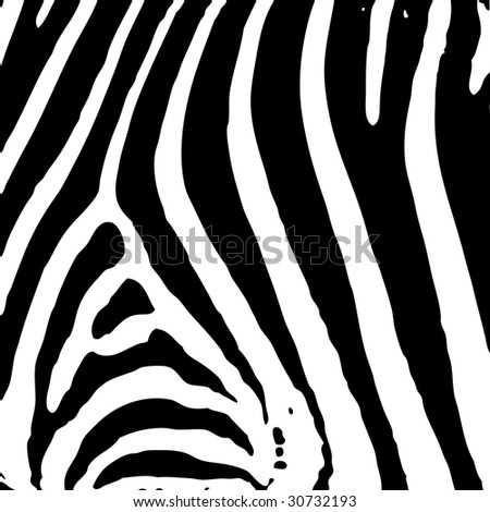 illustrated abstract Zebra black and white print background