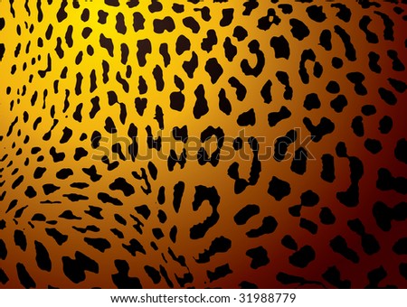 leopard skin wallpaper. stock photo : Leopard skin