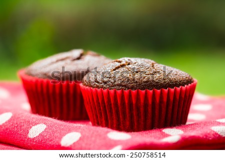Close-up of healthy gluten free chocolate cupcakes
