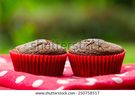 Healthy gluten free chocolate cupcakes