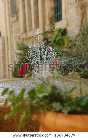 Small fountain in a Courtyard with geranium