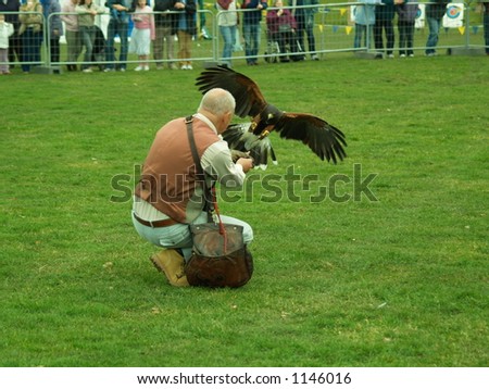falcon landing on glove