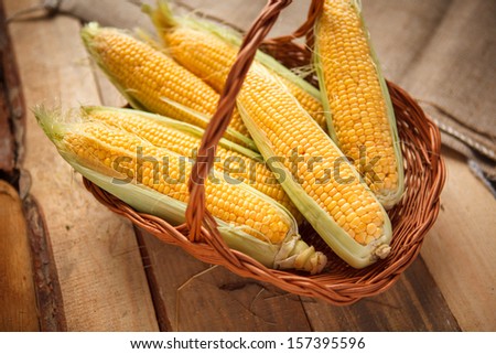 Ears of sweet corn / HQ photo of ear of yellow maize? in a wicker basket