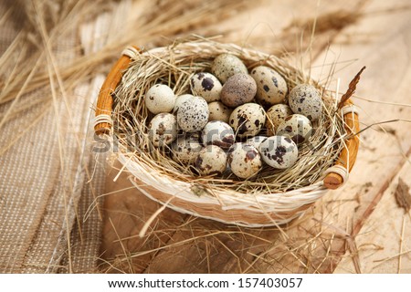 Raw Quail Eggs / Hq Photo Of Quail Eggs In A Wicker Basket